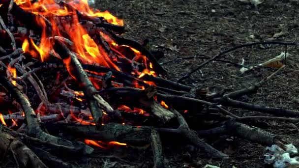 地獄のように燃える木製の火 — ストック動画