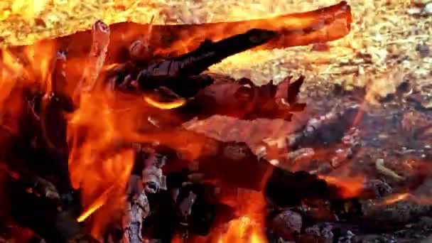 Fuoco Legno Che Brucia Come Inferno — Video Stock