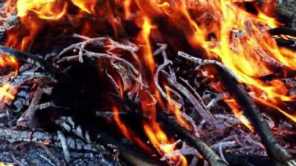 Holzfeuer Brennt Wie Die Hölle — Stockvideo