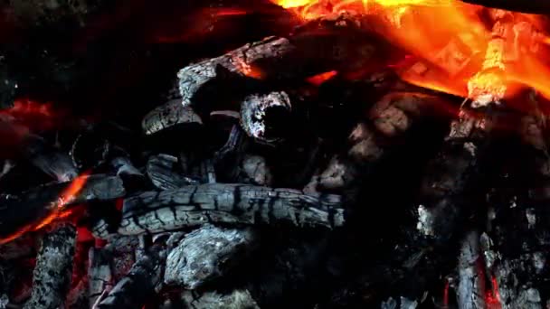 地獄のように燃える木製の火 — ストック動画