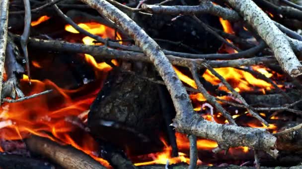 Fuego Madera Ardiendo Como Infierno — Vídeos de Stock
