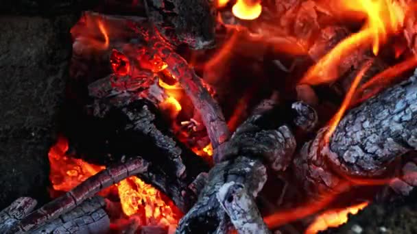 Wooden Fire Burning Hell — Stock Video