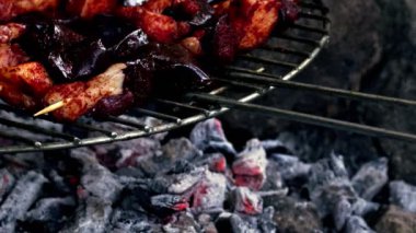 Çiğ Kuzu ciğeri ve Barbekü 