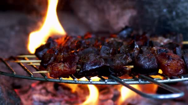 生羊肝和烤肉 — 图库视频影像