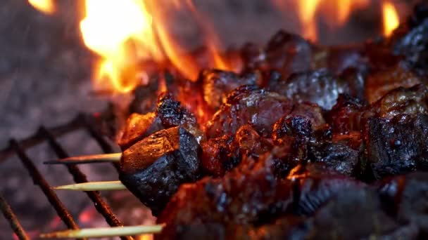 Raw Lamb Liver Barbecue — Stock Video