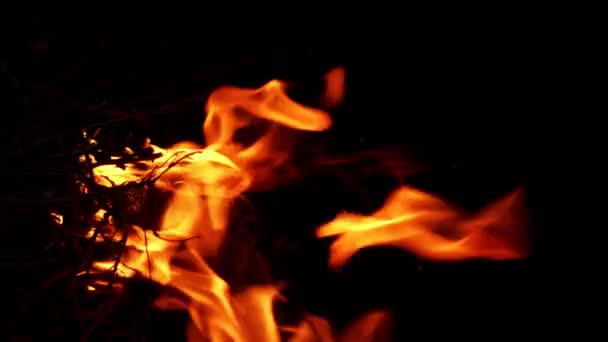 煙と木の破片が燃えている — ストック動画