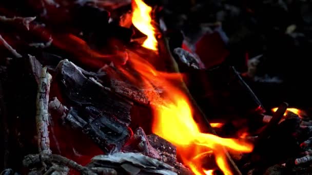 烟和木头碎片在燃烧 — 图库视频影像