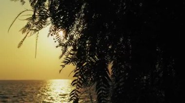 Gün batımında Deniz kenarında Ağaç ve İnsanlar Silueti