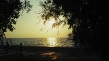 Gün batımında Deniz kenarında Ağaç ve İnsanlar Silueti