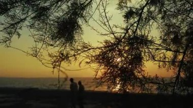 Gün batımında Deniz kenarında Ağaç ve İnsanlar Silueti