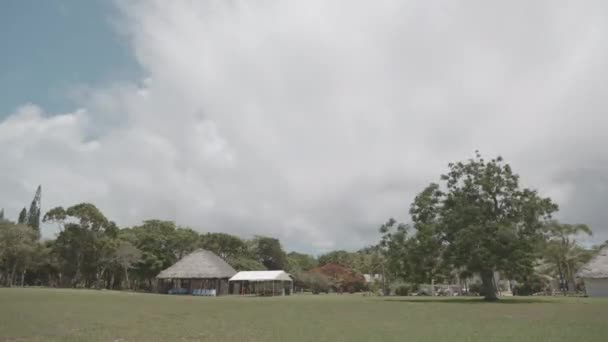 Timelapse Après Midi Sur Île Pins Nouvelle Calédonie Dans Océan — Video