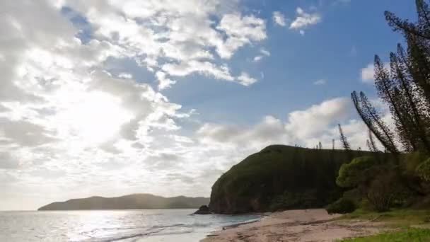 Calendário Final Tarde Baía Tartarugas Nova Caledônia Oceano Pacífico Presença — Vídeo de Stock