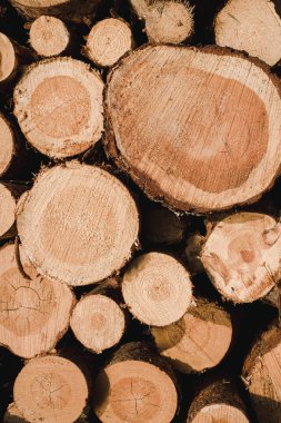 Pulpwood doku yüksek çözünürlüklü arka plan. Close.