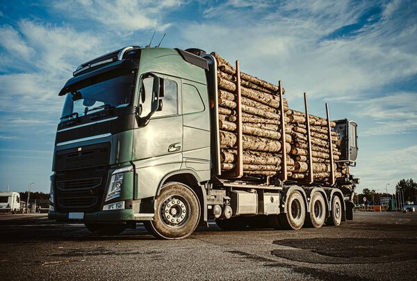 Green truck carrying pulpwood to the cargo ship in the port. Summer time. Close up. Copy space.
