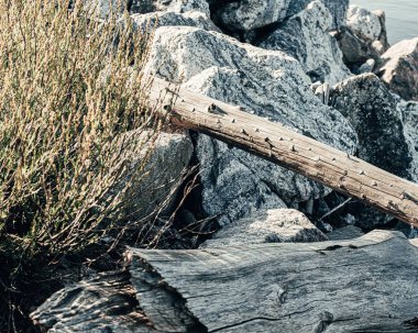 Limandaki taşların üzerine denizden atılan kütükler. Ahşap ve taş kombinasyonu. Arka plan