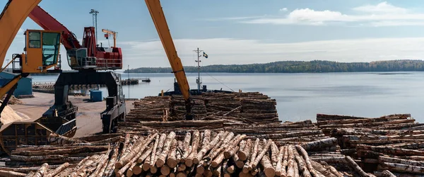 Cargo operation. Discharging wood cargo from ship. Deck cargo. Crane in work. Cargo vessel in port — Stock Photo, Image