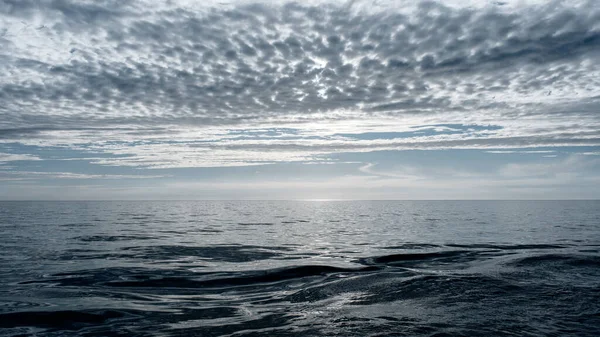 En vattensamling bredvid havet — Stockfoto