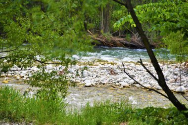 Stromy na rece Bela po destich.