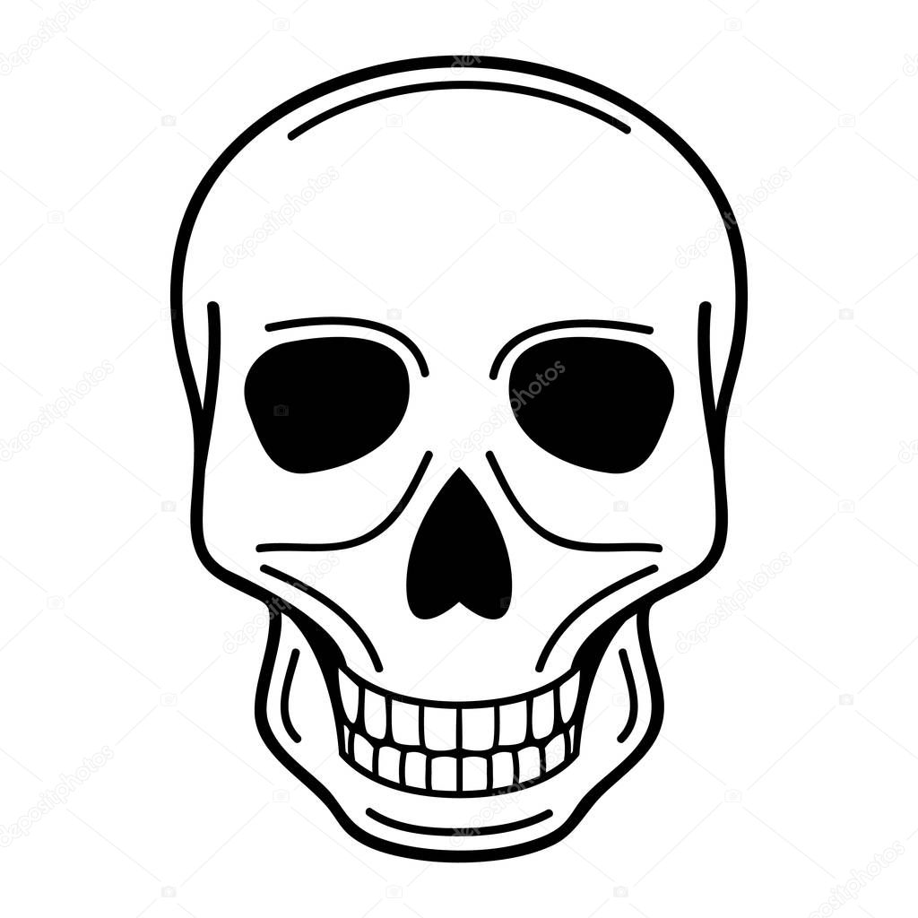 vector illustration of human skull on isolated background