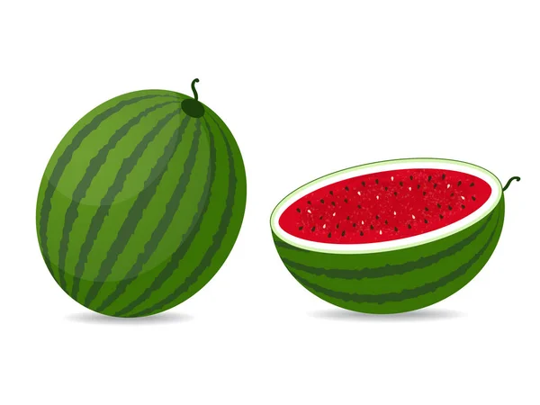 Vector illustration of watermelon on white background — Stock Vector