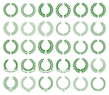 beyaz zemin üzerine yeşil defne çelenk vektör toplama