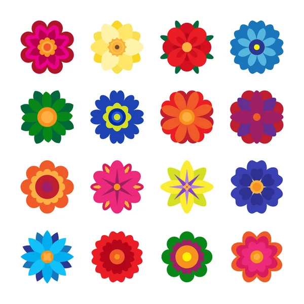 Collection Vectorielle Fleurs Colorées Sur Fond Blanc — Image vectorielle