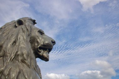 30 Ağustos 2018: Trafalgar Meydanı Londra aslan heykeli