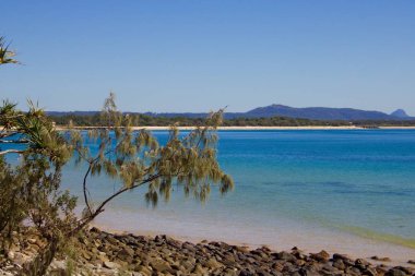 Noosa, Queensland Avustralya'da güzel plaj sahnesi