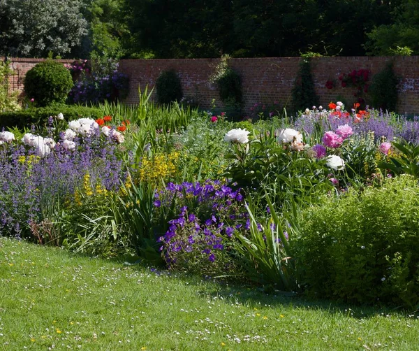 Ön planda çim ile İngiliz yazlık bahçe, kopya alanı ile yemyeşil çiçek yatak