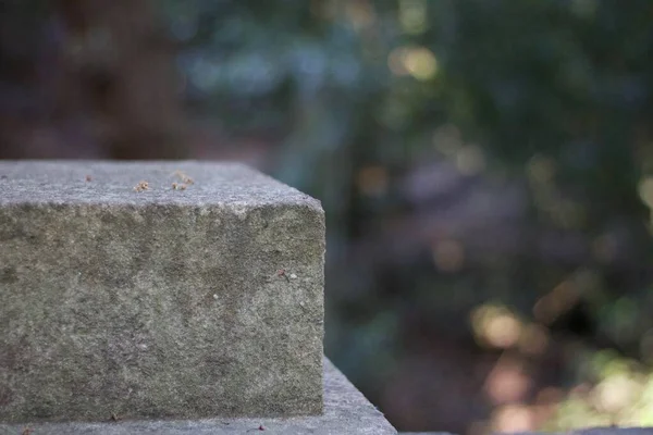 Yumuşak yeşil arka planı olan gri taş sütun