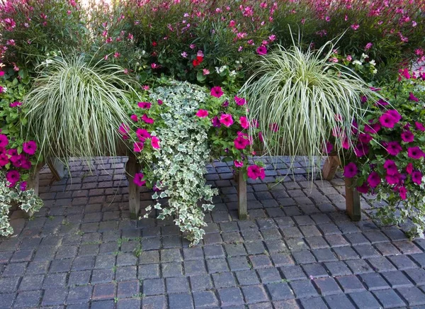 Display of summer flowers and foliage in trough