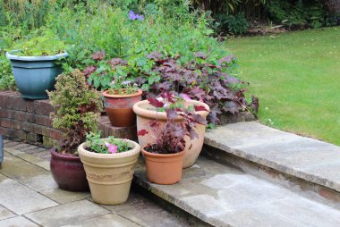 Bahçe basamaklarında arka planda çimenler olan bir grup ekici.