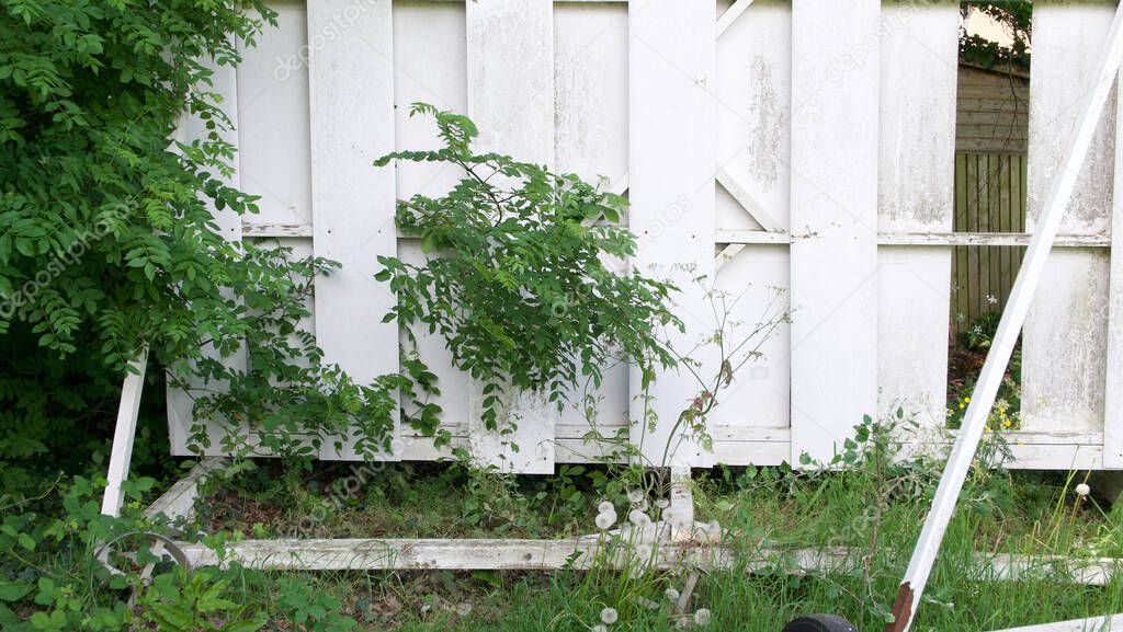 Old damaged weathered cricket sight screen surrounded by weeds and undergrowth