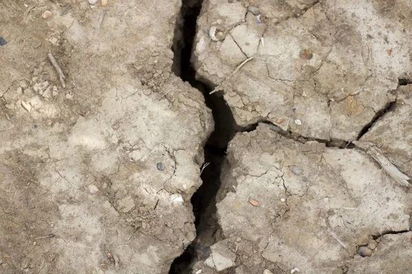 Расколотый грубый сухой фон земли в засуху с копировальным пространством — стоковое фото