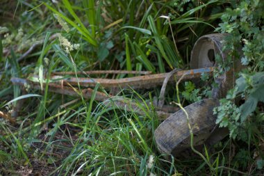 Çimenli çalılıklarda tekerlekleri olan paslı eski altın tramvayı