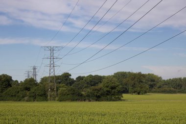 İlkbaharda elektrik kabloları ve elektrik kablolarıyla mısır tarlası