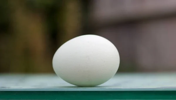 Jajko kurze z przestrzenią do kopiowania stojącą na zielonej powierzchni z miękkim tłem — Zdjęcie stockowe