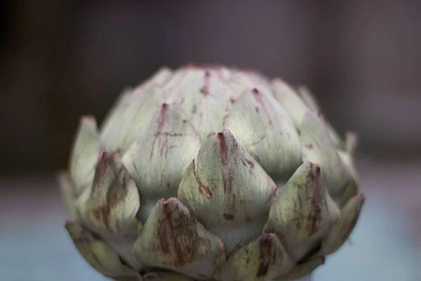 Simple image of artichoke against blurred grey background with copyspace — Stock Photo, Image