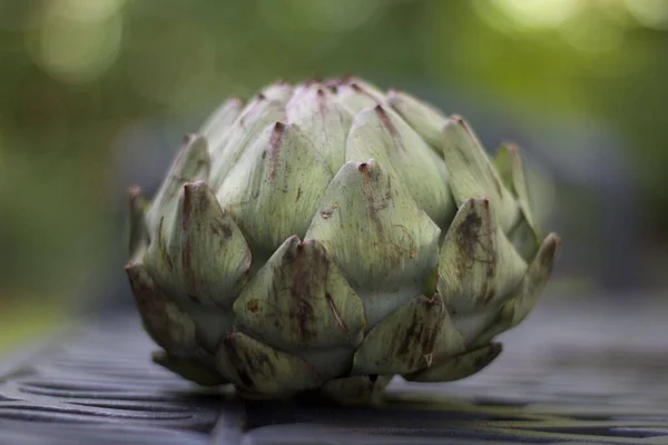 Green globe artichoke with soft blurred background with copy space