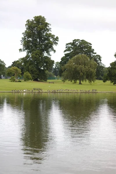 Retrato de imagen de parque público con árboles reflejados en el agua del lago — Foto de Stock