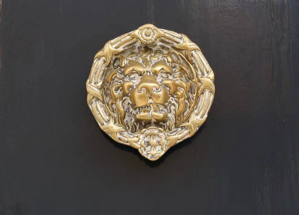 Ottone bussare porta che mostra l'immagine del leone contro sfondo scuro — Foto Stock