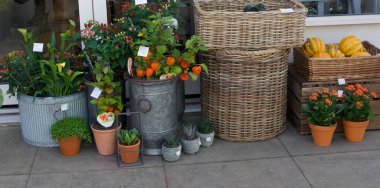 19 Eylül 2020 - İngiltere, İngiltere: Çiçekçi dükkanının önünde çiçek sergisi