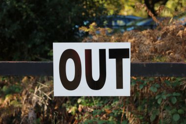 Sonbahar arkaplanlı ve beyaz arkaplandaki 