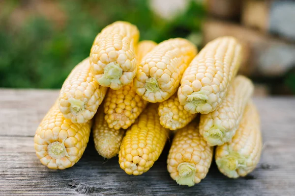 Fresh Corn Cobs Closeup Grains Ripe Corn Corn Cob Meal — Stock Photo, Image