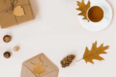 bir fincan çay ile güzel sonbahar kompozisyon. sonbahar yaprakları, Kraft hediye kutusu, bir zarf ve bej arka plan üzerinde bir örgü battaniye. sonbahar sezonu kavramı. kopya alanı. Sonbahar düz yatıyordu