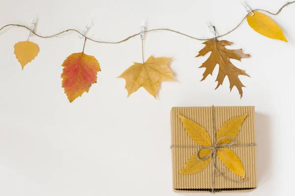 Autumn fallen leaves hang on a rope with clothespins on a light beige background and a gift craft box with a bow of twine. The concept of autumn discounts. Price fall and gifts. Copy spac