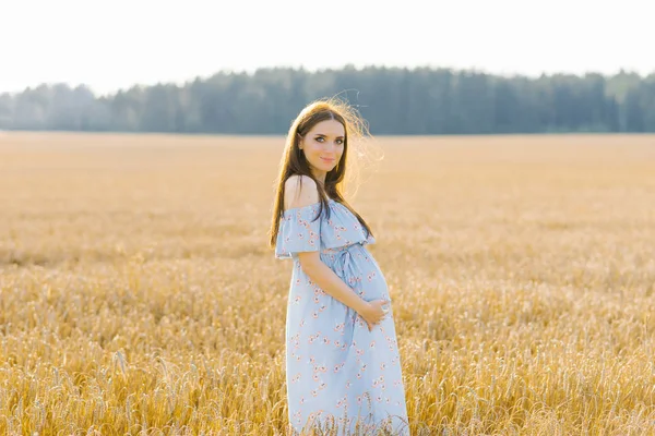 Una Mujer Embarazada Con Largo Vestido Azul Está Campo Trigo — Foto de Stock