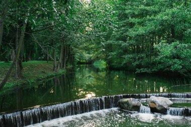 Minsk 'teki Forest Park Drozdy' de nehrin üzerinde çağlayan güzel bir şelale.