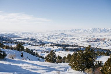 Tian Shan dağlarının yeri, Özbekistan, Orta Asya. Kış dağı ormanı. Teleferiğin Beldersay 'deki kayak merkezinin manzarası.