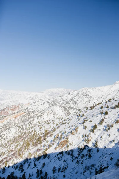 Picos Montaña Cubiertos Nieve Uzbekistán Día Despejado Estación Esquí Beldersay — Foto de Stock